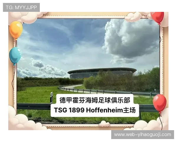 霍芬海姆1899俱乐部发展历程与竞技成就全面解析